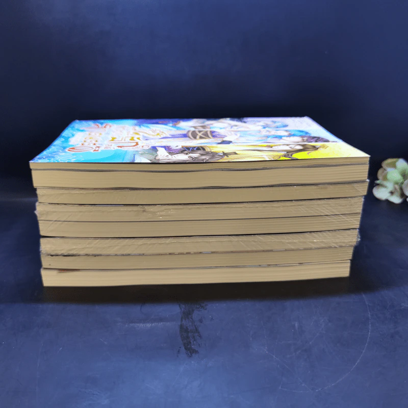 นิยายวาย ตำหนักรักองค์จักรพรรดิ ขายรวม 8 เล่ม (รวมเล่มเล็ก 1 เล่ม) รูปที่ 5