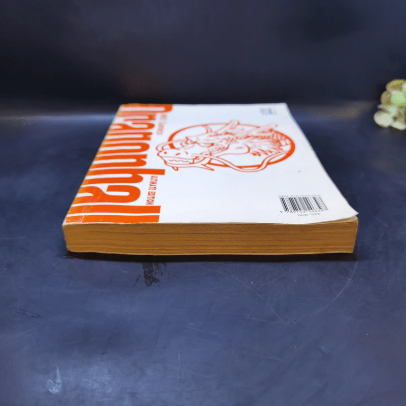 DRAGON BALL ดราก้อนบอล เล่ม 25 รูปที่ 4
