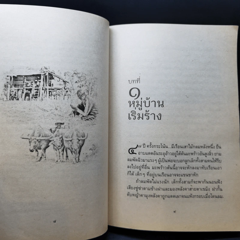 ลูกอีสาน ฉบับนักเรียน - คำพูน บุญทวี รูปที่ 11