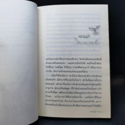 เดเมียน - เฮอร์มานน์ เฮสเส รูปที่ 11
