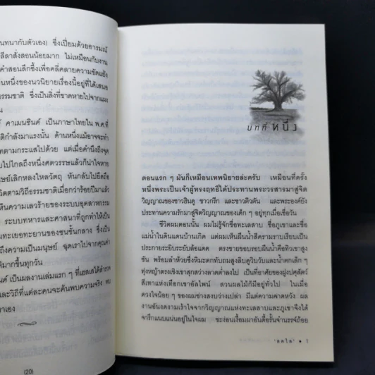 ปีเตอร์ คาเมนซินด์ - เฮอร์มานน์ เฮสเส รูปที่ 13