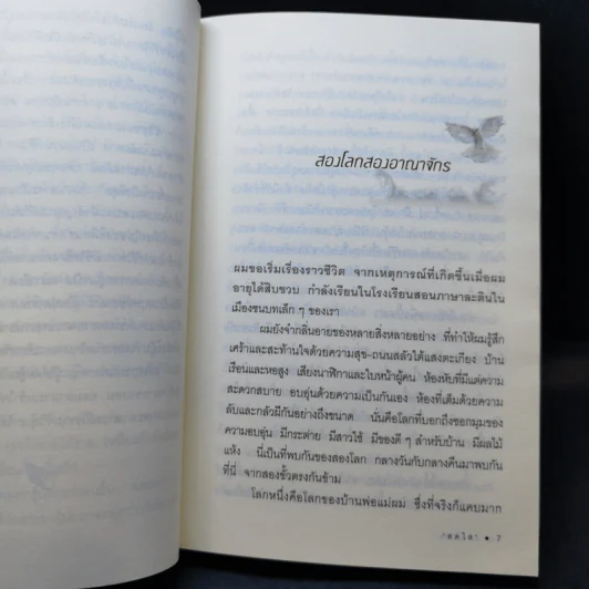 เดเมียน - เฮอร์มานน์ เฮสเส รูปที่ 12