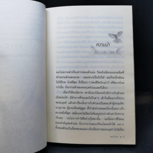 เดเมียน - เฮอร์มานน์ เฮสเส รูปที่ 11