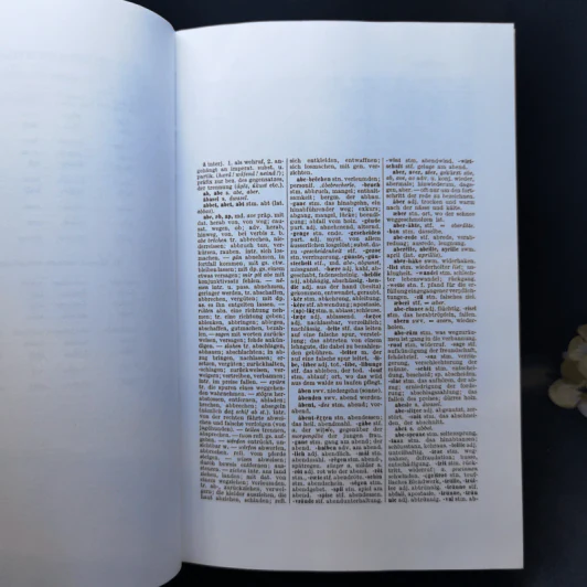 Mittelhochdeutsches Taschenwörterbuch - Matthias Lexer รูปที่ 12