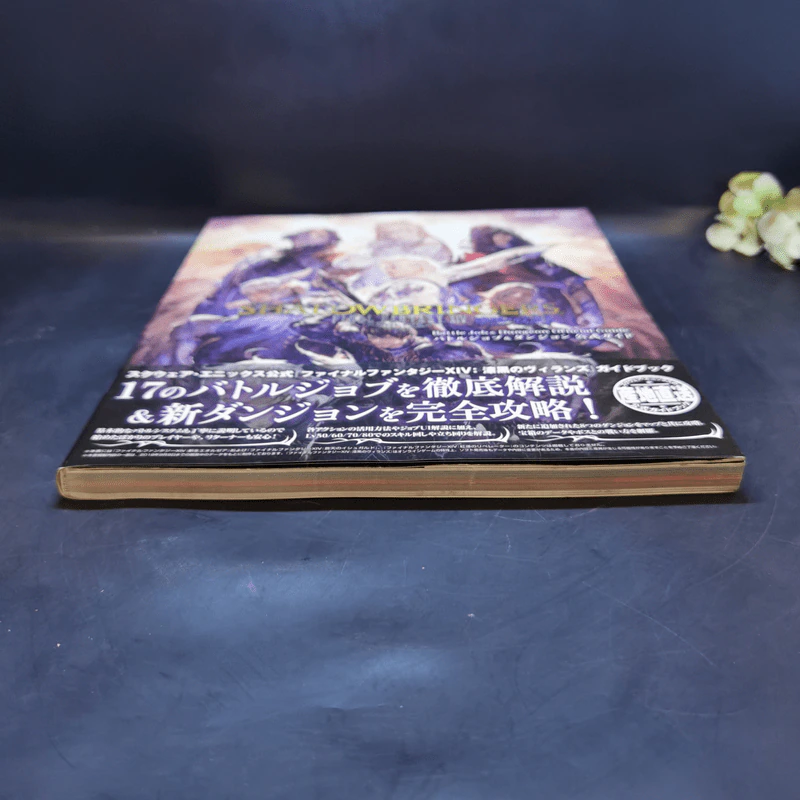 Final Fantasy XIV : Shadowbringers รูปที่ 4