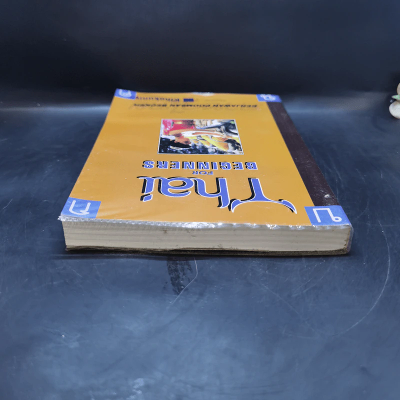 Thai for Beginners หนังสือเรียนภาษาไทย สำหรับชาวต่างชาติ รูปที่ 6