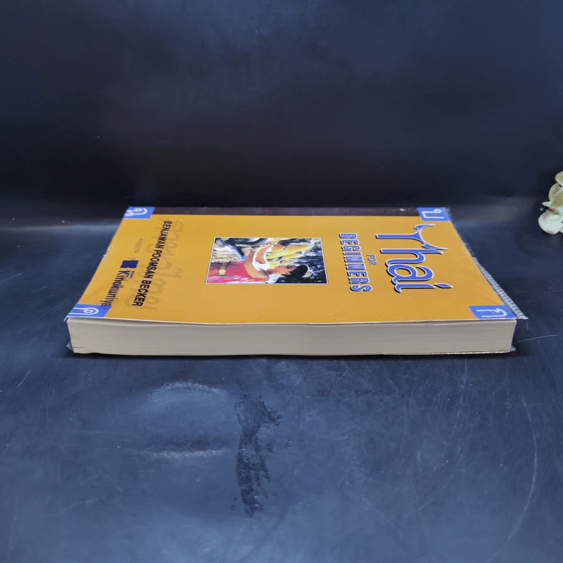 Thai for Beginners หนังสือเรียนภาษาไทย สำหรับชาวต่างชาติ รูปที่ 5