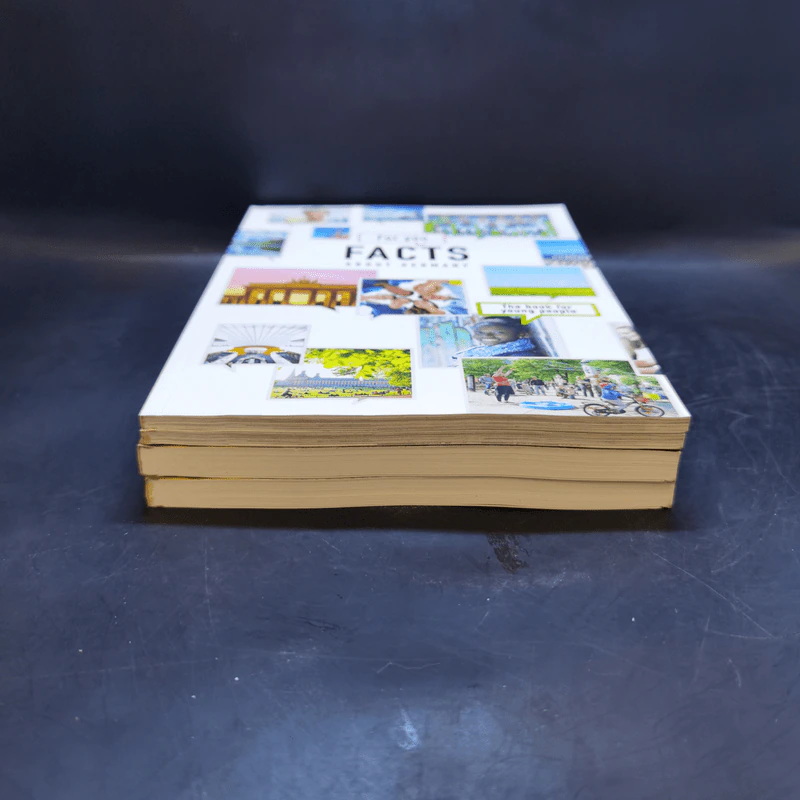 Tatsachen + Facts ขายรวม 4 เล่ม รูปที่ 3