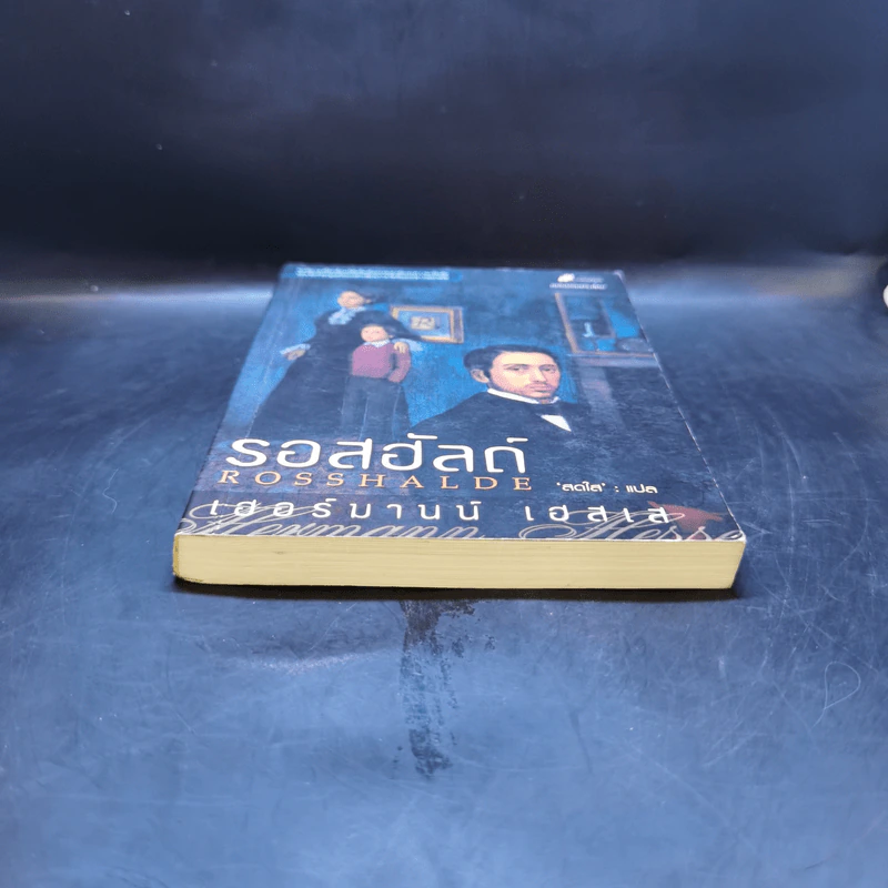 รอสฮัลด์ Rosshalde - เฮอร์มานน์ เฮสเส รูปที่ 4