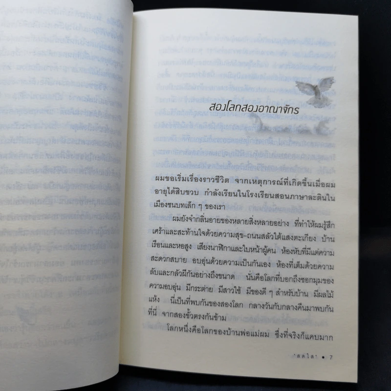 เดเมียน - เฮอร์มานน์ เฮสเส รูปที่ 12