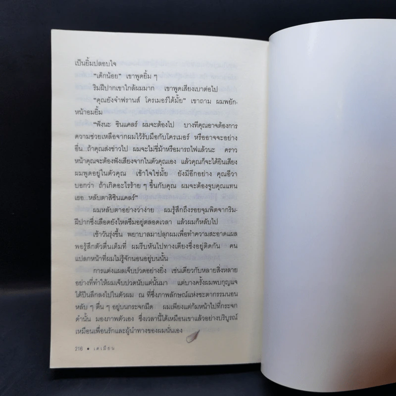 เดเมียน - เฮอร์มานน์ เฮสเส รูปที่ 13