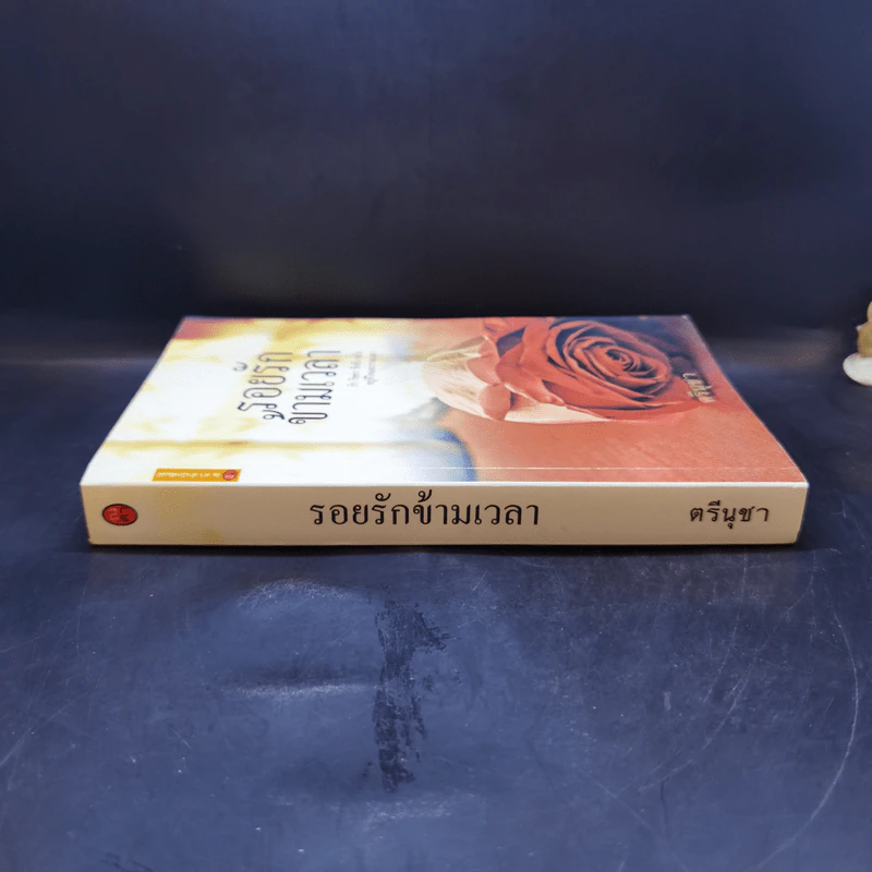 รอยรักข้ามเวลา - ตรีนุชา รูปที่ 3