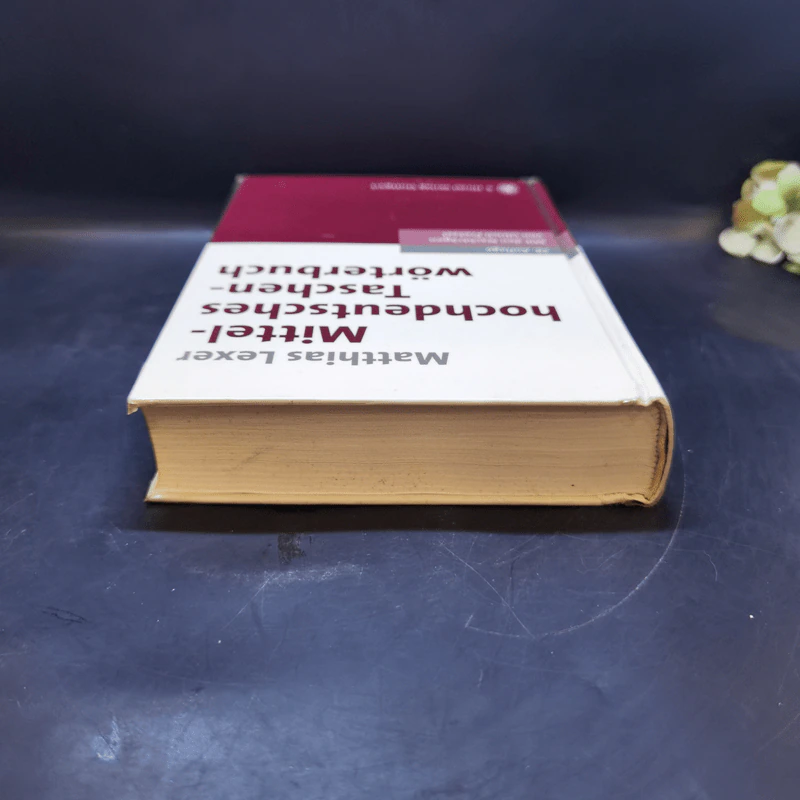 Mittelhochdeutsches Taschenwörterbuch - Matthias Lexer รูปที่ 6