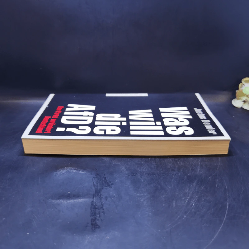Was will die AfD? - Justus Bender รูปที่ 5