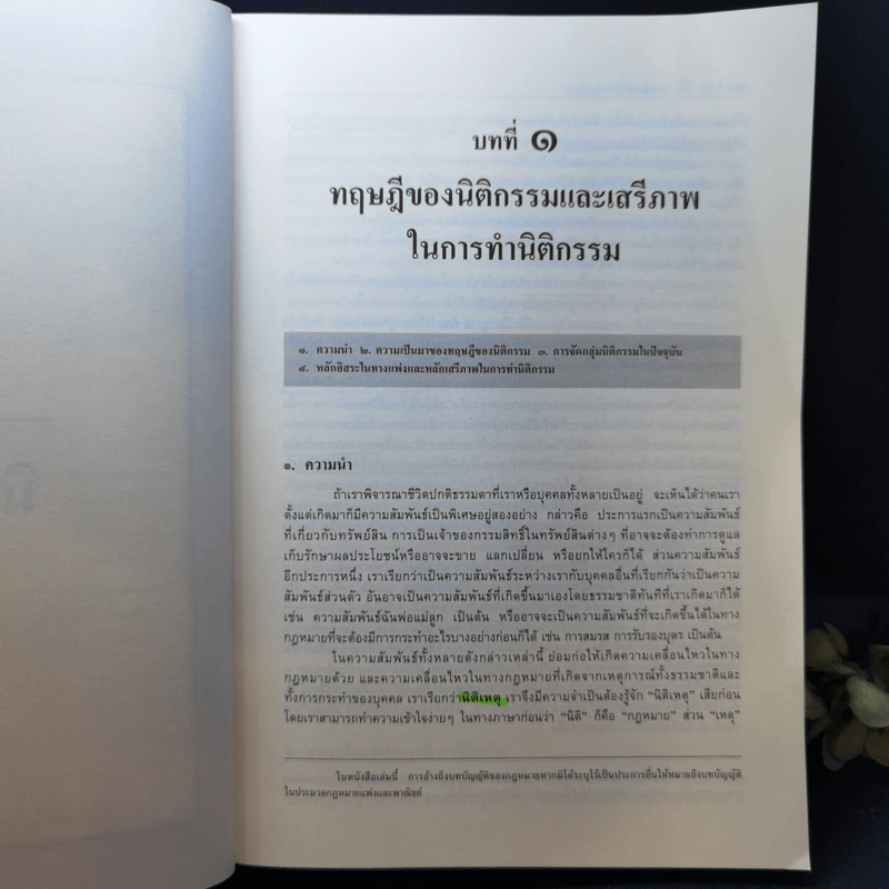 คำอธิบายนิติกรรมสัญญา - ศาสตราจารย์ ดร.ศนันท์กรณ์ โสตถิพันธุ์ รูปที่ 14