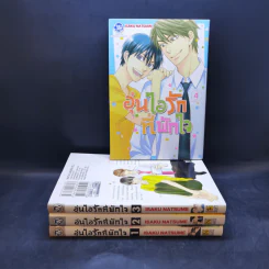 การ์ตูนวาย อุ่นไอรักที่พักใจ 4 เล่มจบ