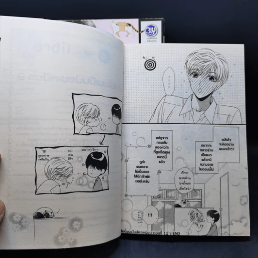 การ์ตูนวาย อันนี่ผมเป็นน้องเหมียว 2 เล่มจบ รูปที่ 12