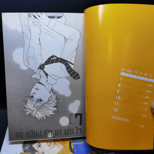 การ์ตูนวาย ขอเพียงรักมาพักใจ เล่ม 1-2 รูปที่ 8