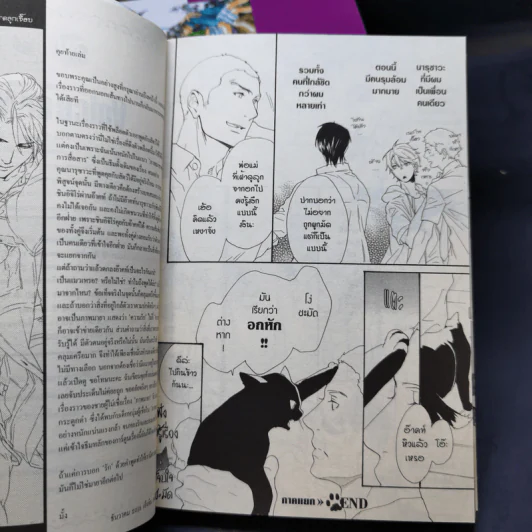 การ์ตูนวาย Voice or Noise 6 เล่มจบ รูปที่ 11