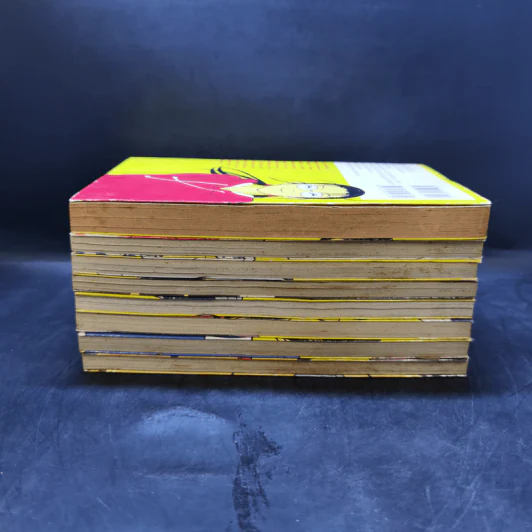 ครูสาวยากูซ่า เล่ม 1-8 รูปที่ 4