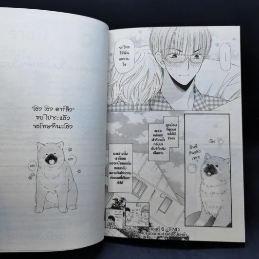 การ์ตูนวาย ดาร์ลิงผมเป็นน้องเหมียว เล่ม 1 รูปที่ 11