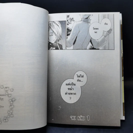 การ์ตูนวาย ฝนดาวตก ข้ารับใช้แห่งจันทรา เล่ม 1 รูปที่ 11