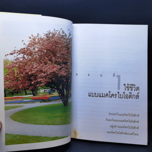 มาใช้ชีวิตแบบแมคโครไบโอติกส์ การกินอาหารและใช้ชีวิตกับธรรมชาติ - สิทรา พรรณสมบูรณ์ รูปที่ 12