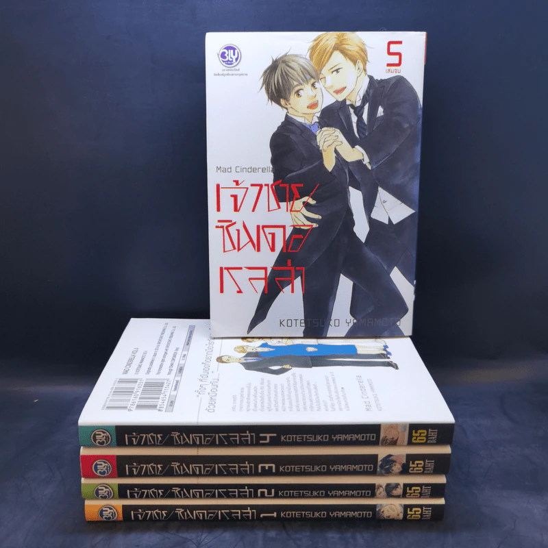 การ์ตูนวาย เจ้าชายซินเดอเรลล่า 5 เล่มจบ รูปที่ 1