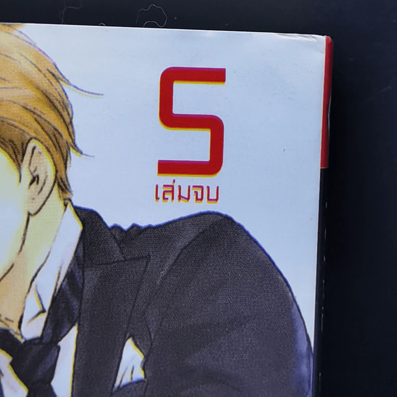 การ์ตูนวาย เจ้าชายซินเดอเรลล่า 5 เล่มจบ รูปที่ 11