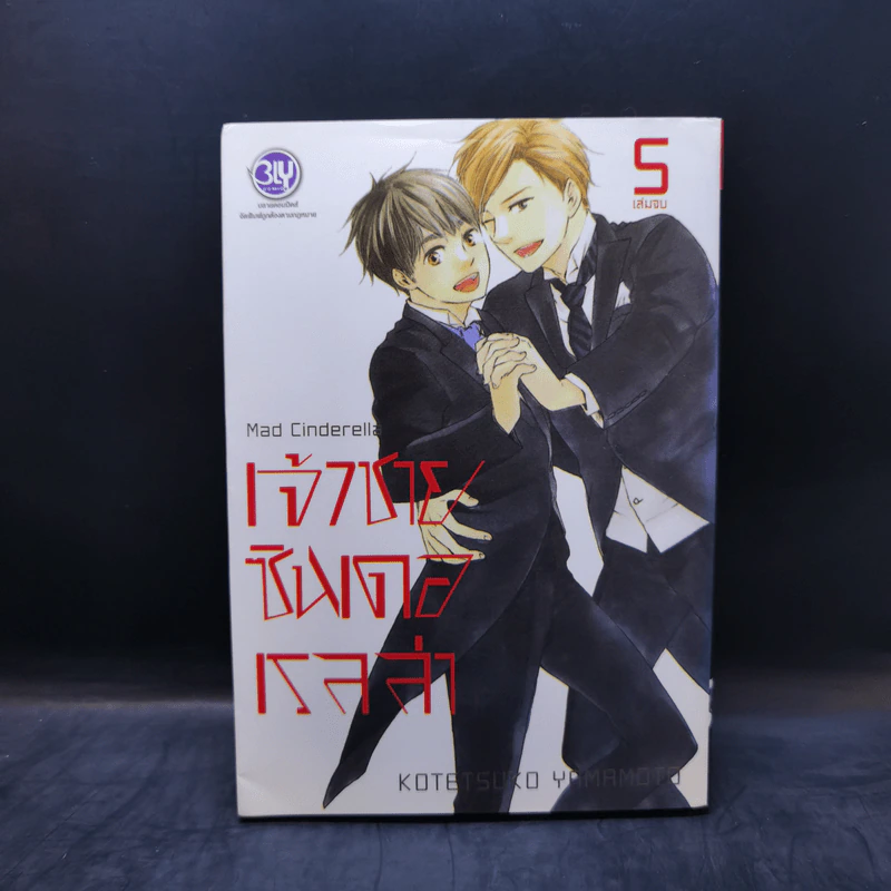 การ์ตูนวาย เจ้าชายซินเดอเรลล่า 5 เล่มจบ รูปที่ 10