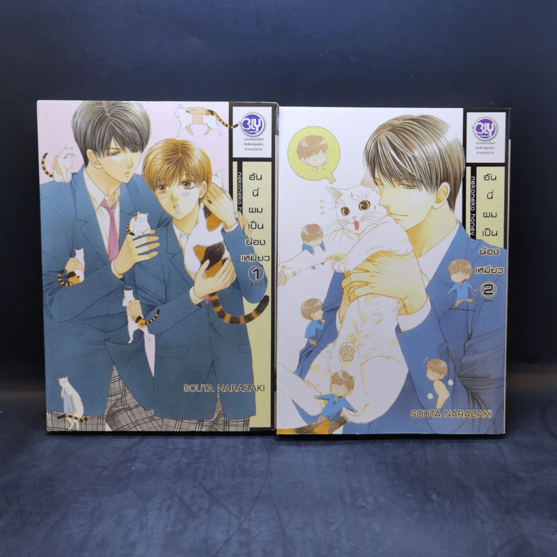 การ์ตูนวาย อันนี่ผมเป็นน้องเหมียว 2 เล่มจบ รูปที่ 1