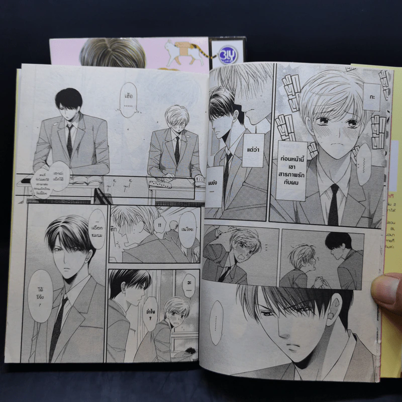 การ์ตูนวาย อันนี่ผมเป็นน้องเหมียว 2 เล่มจบ รูปที่ 11