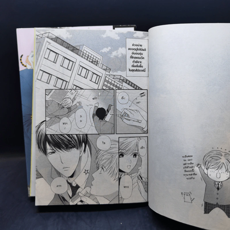 การ์ตูนวาย อันนี่ผมเป็นน้องเหมียว 2 เล่มจบ รูปที่ 9