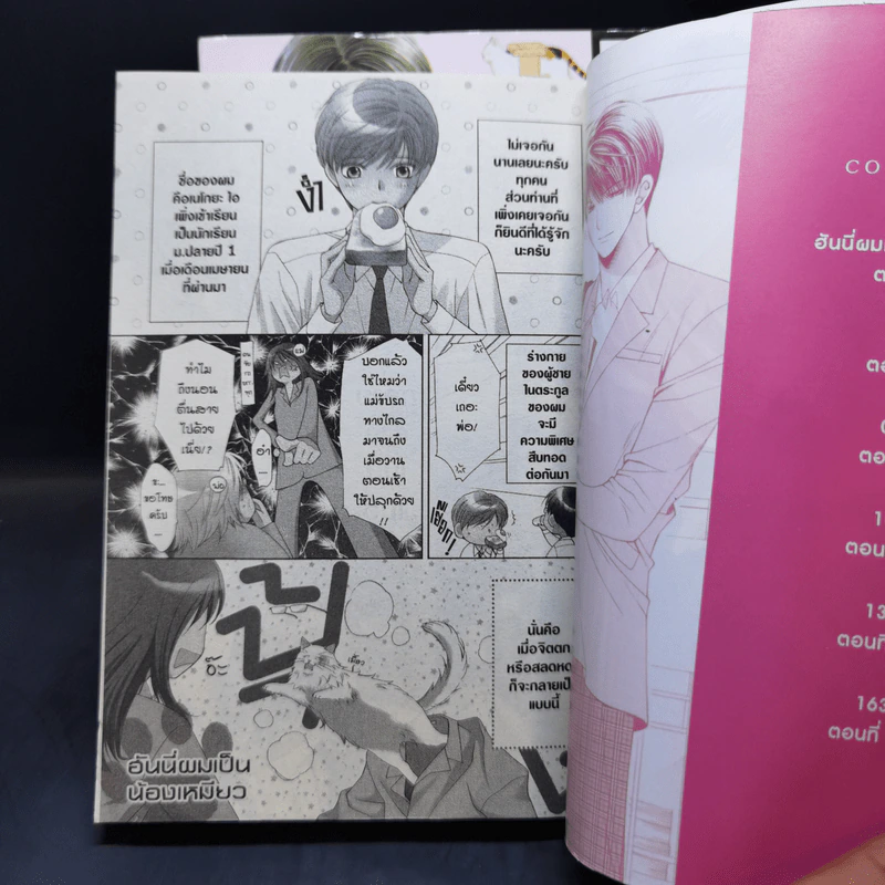 การ์ตูนวาย อันนี่ผมเป็นน้องเหมียว 2 เล่มจบ รูปที่ 8