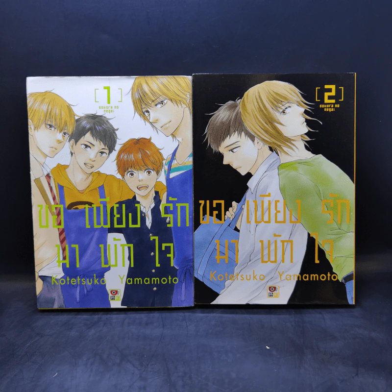 การ์ตูนวาย ขอเพียงรักมาพักใจ เล่ม 1-2 รูปที่ 1