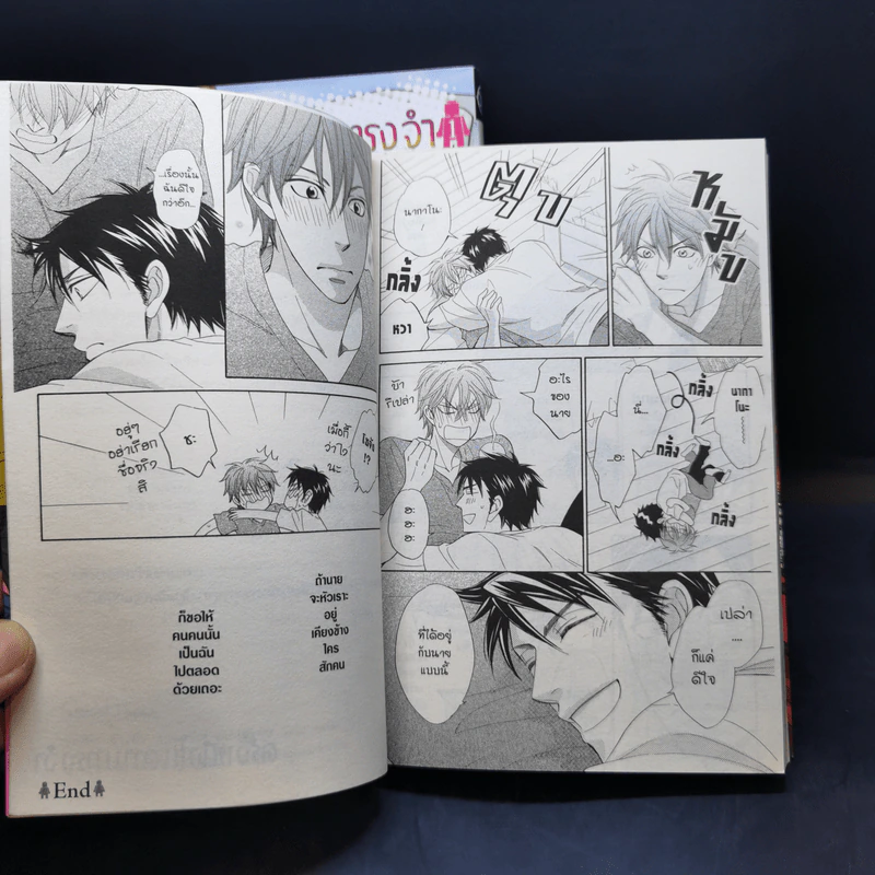 การ์ตูนวาย ครั้งหนึ่งในความทรงจำ 2 เล่มจบ รูปที่ 11