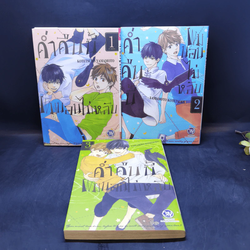 การ์ตูนวาย ค่ำคืนนี้ผมนอนไม่หลับ 3 เล่มจบ รูปที่ 1