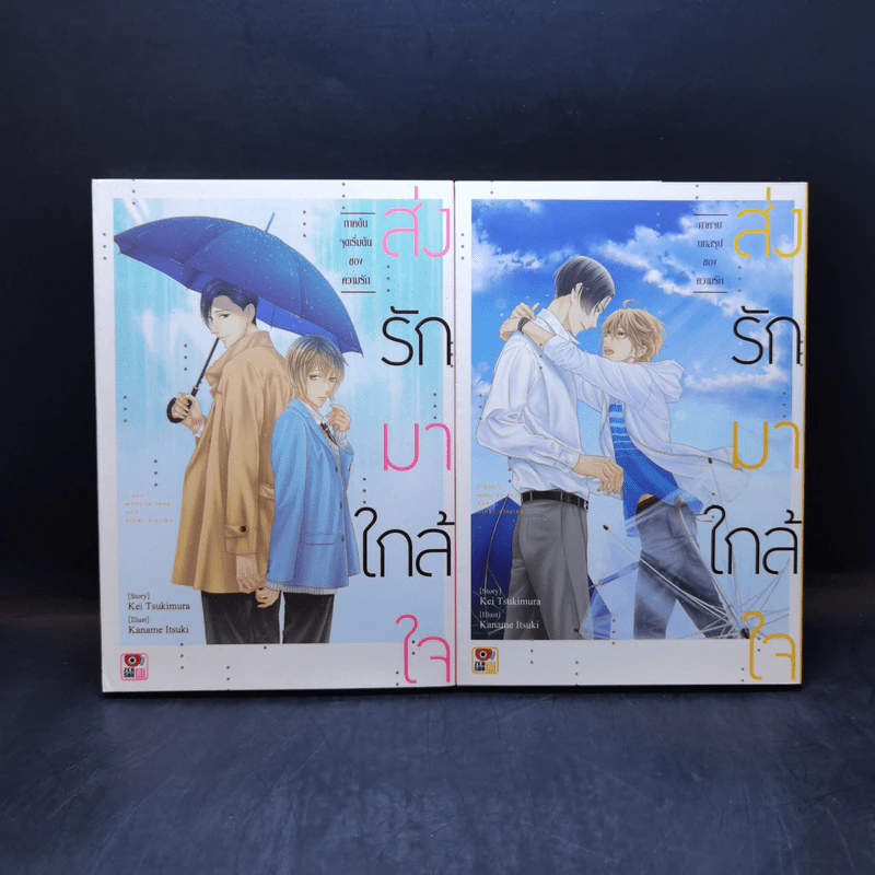 การ์ตูนวาย ส่งรักมาใกล้ใจ ภาคต้น + ภาคจบ รูปที่ 1