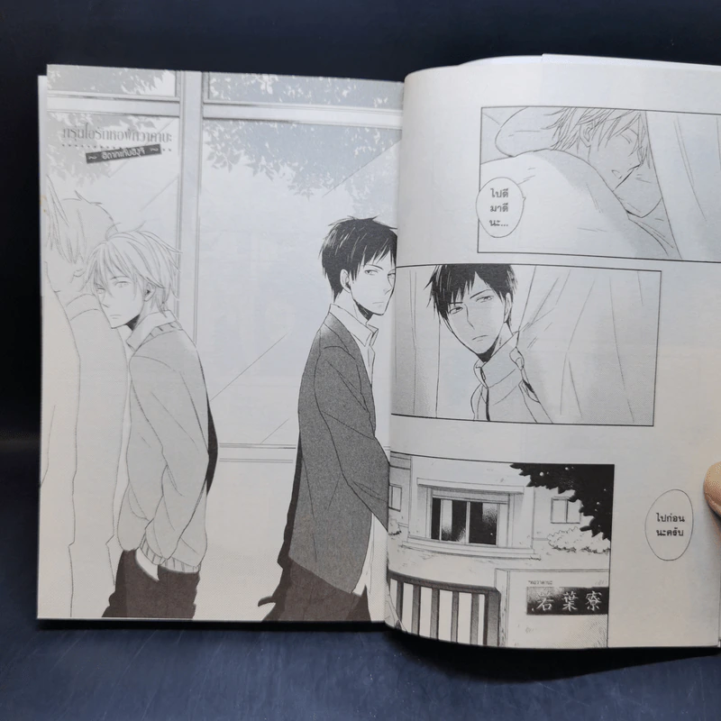 การ์ตูนวาย กรุ่นไอรักหอพักวาคาบะ รูปที่ 9