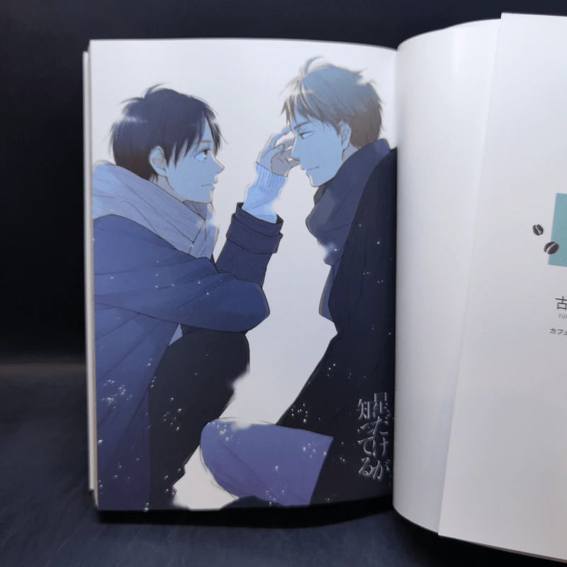 การ์ตูนวายภาษาญี่ปุ่น 星だけが知ってる รูปที่ 8