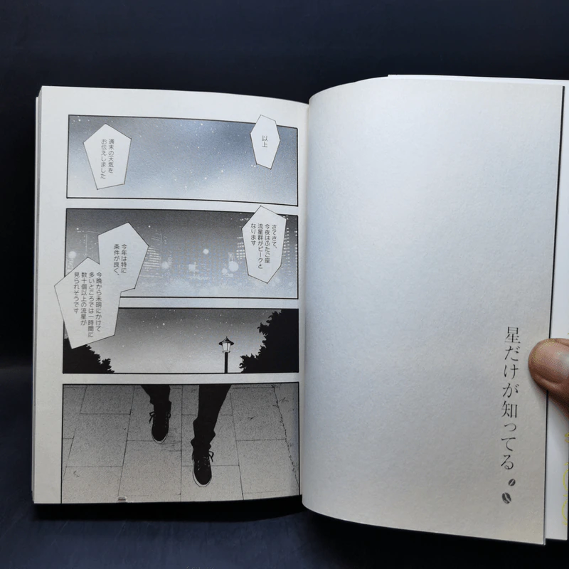 การ์ตูนวายภาษาญี่ปุ่น 星だけが知ってる รูปที่ 10