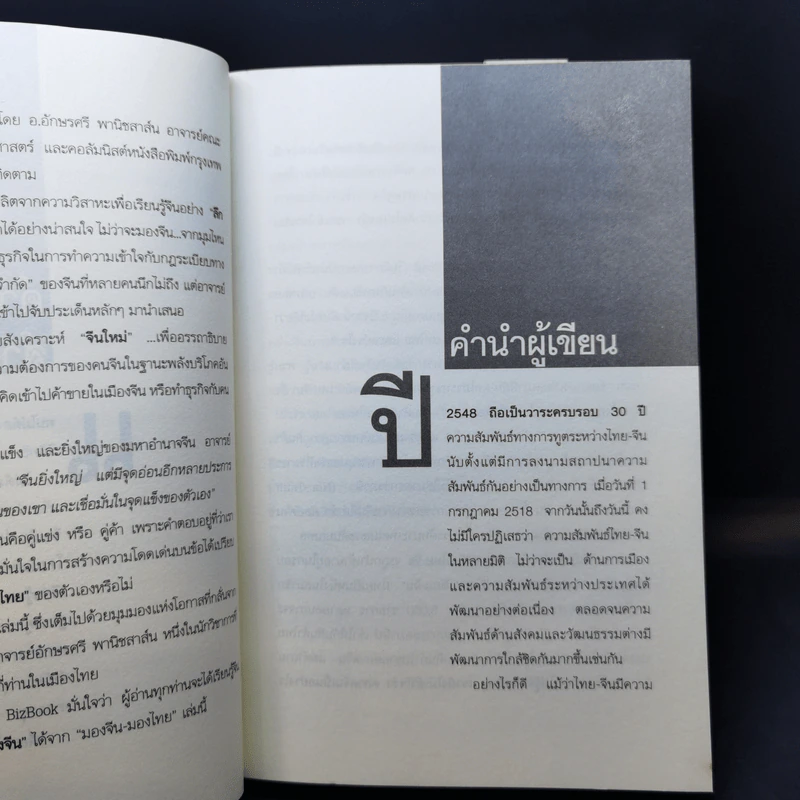 มองจีน-มองไทย - อักษรศรี พานิชสาส์น รูปที่ 11