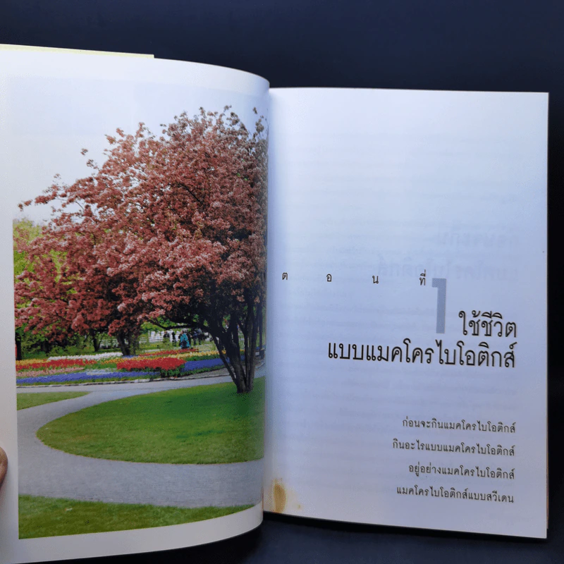 มาใช้ชีวิตแบบแมคโครไบโอติกส์ การกินอาหารและใช้ชีวิตกับธรรมชาติ - สิทรา พรรณสมบูรณ์ รูปที่ 12