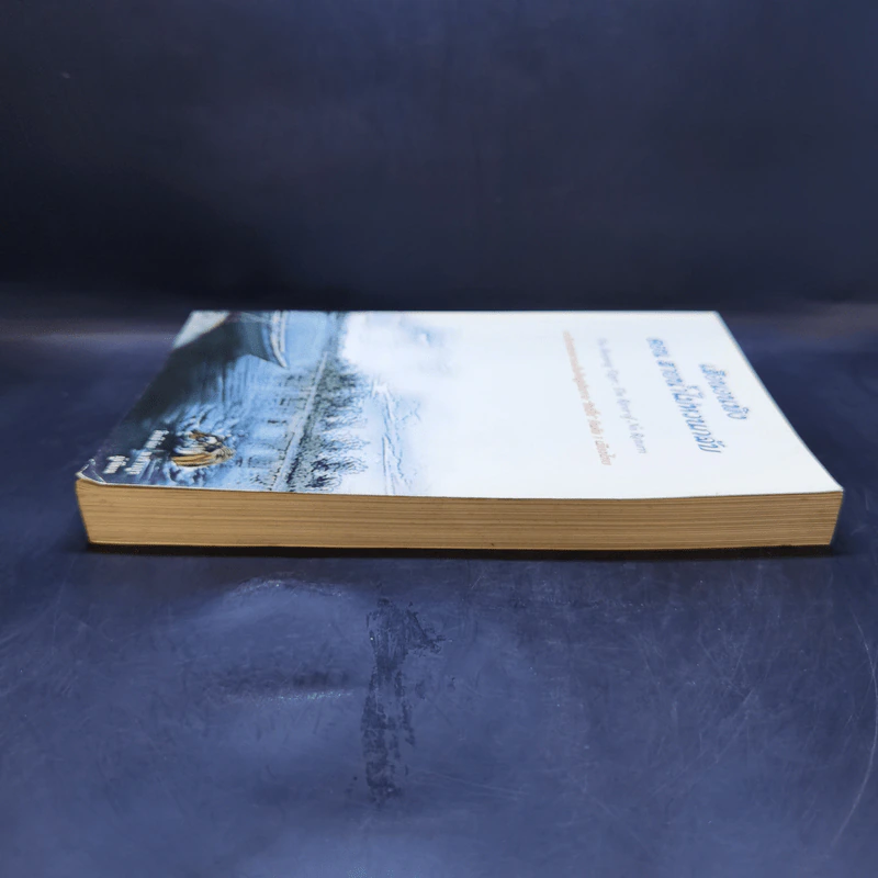 เสือนอนพิง The Sleeping Tiger - นายสิทธิชัย ชวรางกูร รูปที่ 5