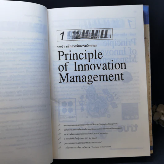 Strategic Business Innovation Management กลยุทธ์การจัดการนวัตกรรมทางธุรกิจ รูปที่ 14