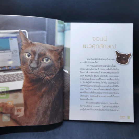 แชร์ชีวิตออนไลน์ Digital Life รูปที่ 11