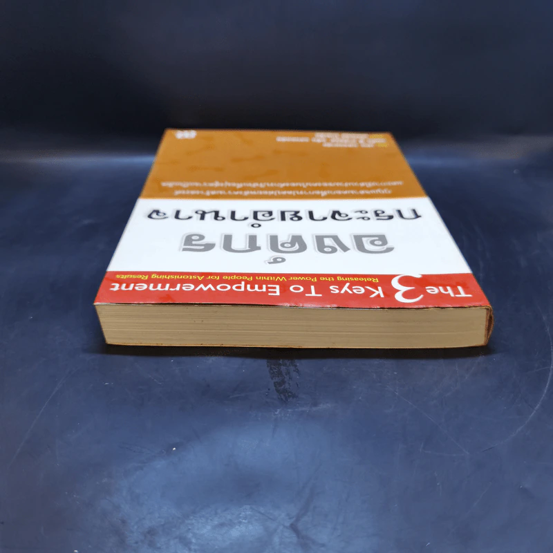 องค์กรกระจายอำนาจ - เคน บลองชาร์ด, จอห์น พี คาร์ลอส, อลัน แรนดอล์ฟ รูปที่ 6