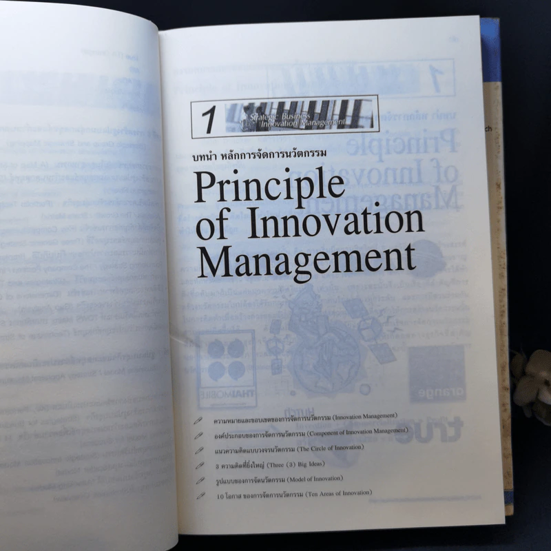Strategic Business Innovation Management กลยุทธ์การจัดการนวัตกรรมทางธุรกิจ รูปที่ 14