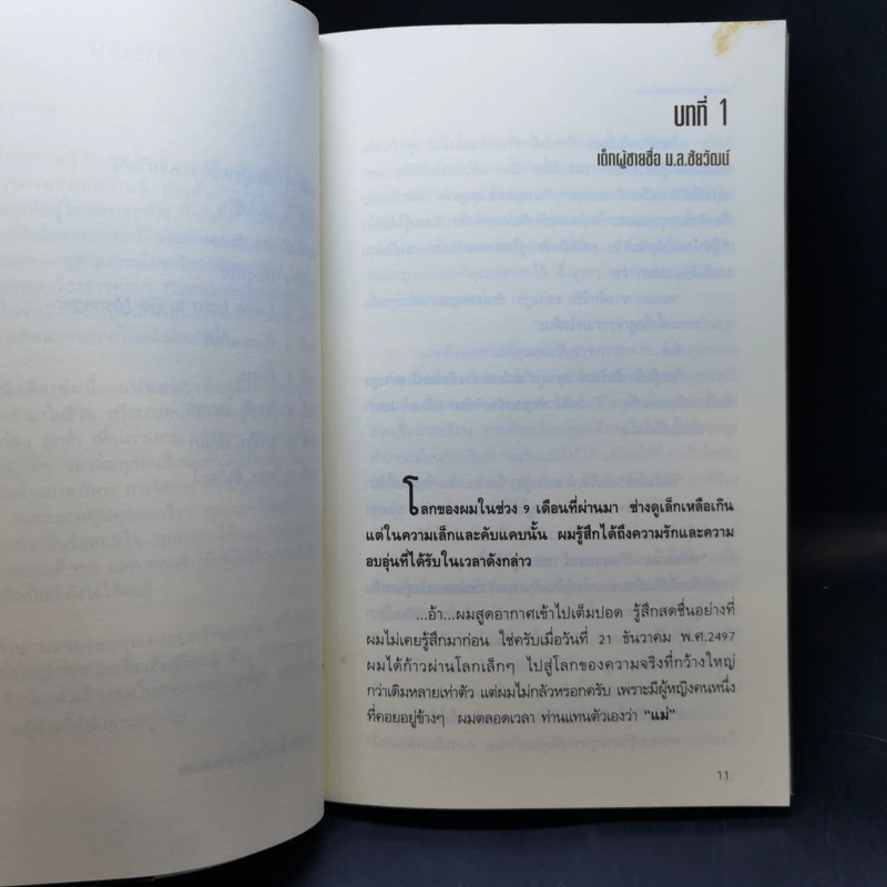 จอมยุทธ์การตลาด - ม.ล.ชัยวัฒน์ ชยางกูร รูปที่ 11
