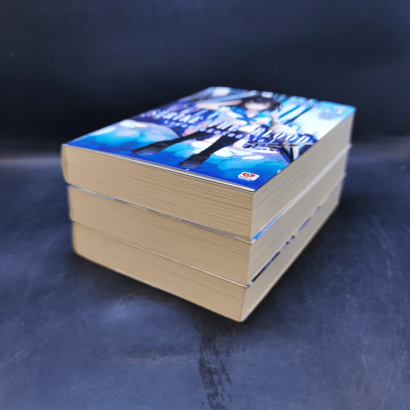 Strike The Blood ราชันย์โลหิตรัตติกาล เล่ม 1-3 รูปที่ 6